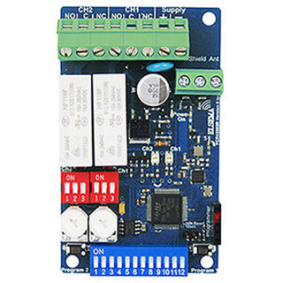 2 Channel Receiver with Relay Outputs