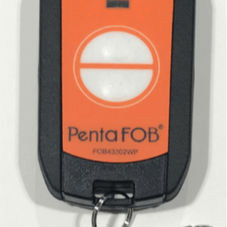 2 Button Waterproof Remote